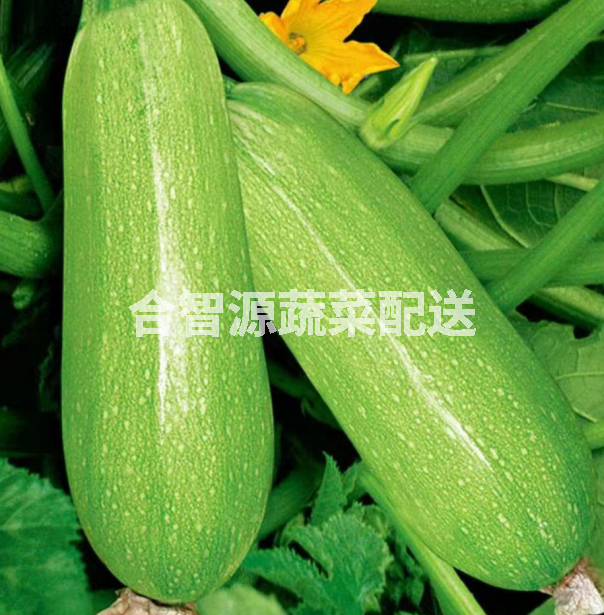 重慶蔬菜配送公司