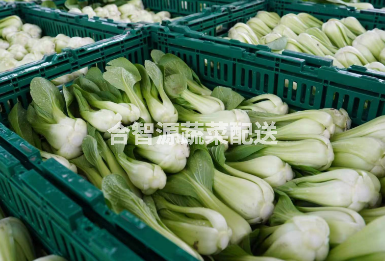 重慶企事業(yè)單位食堂食材蔬菜配送公司