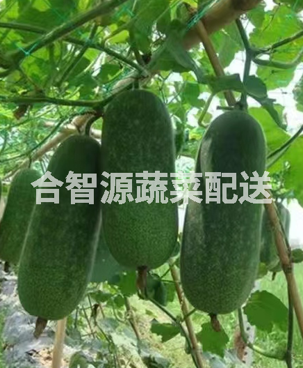 食堂食材配送